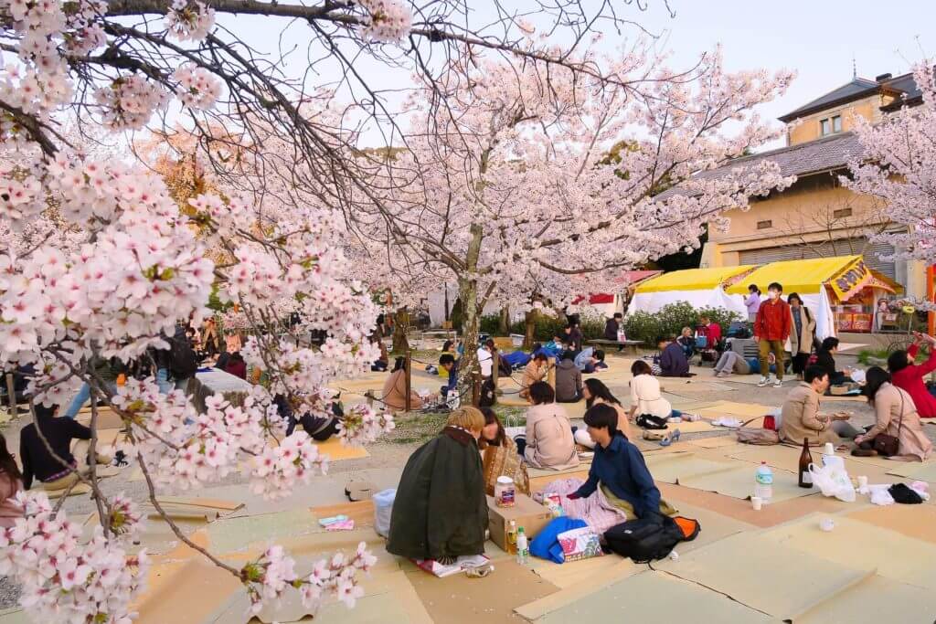 Những địa điểm nào ở Nhật Bản để ngắm hoa đào vào tháng 4? 
