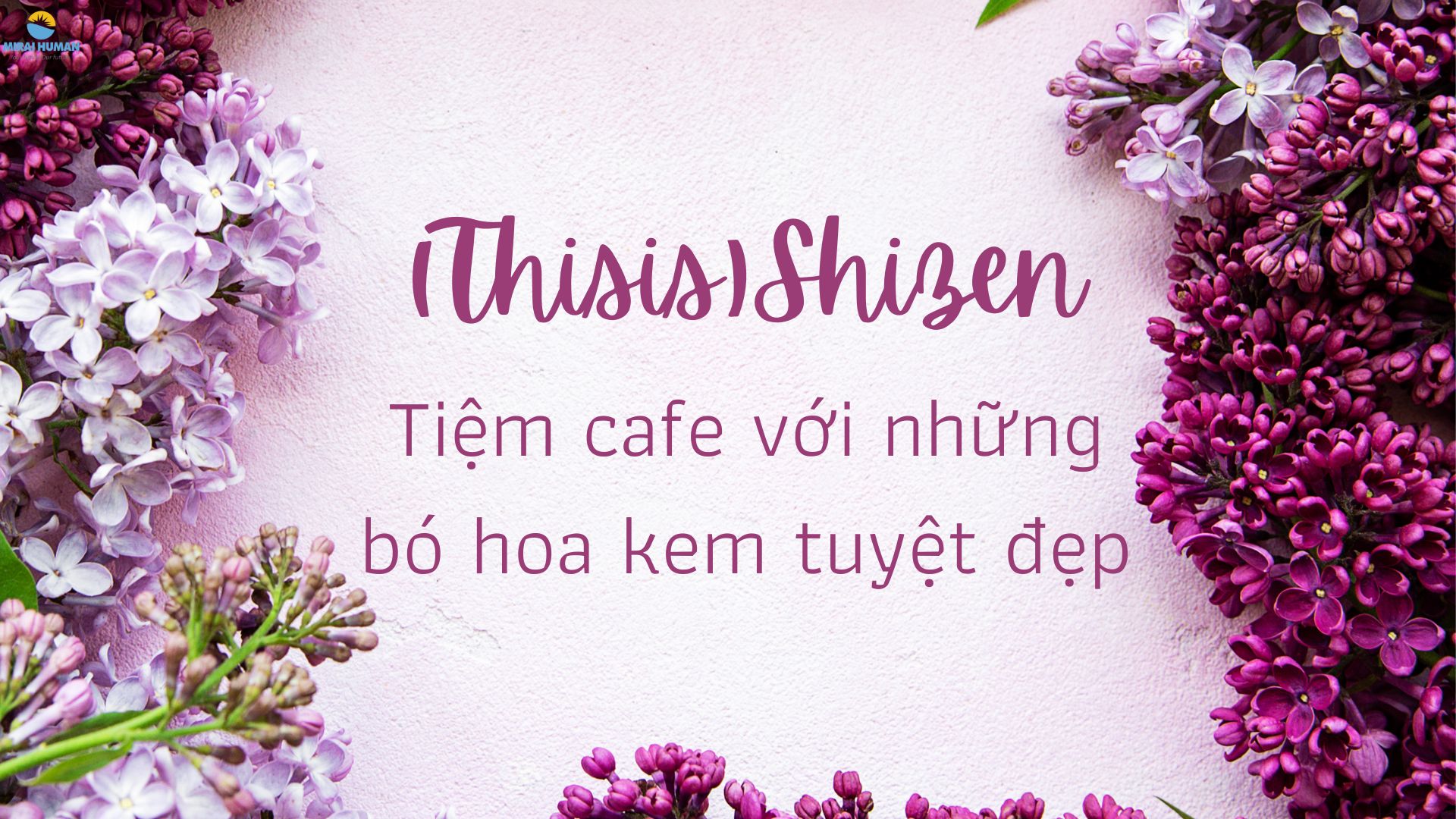 Hoa Bỉ Ngạn - Truyền thuyết và ý nghĩa đặc biệt của loài hoa này