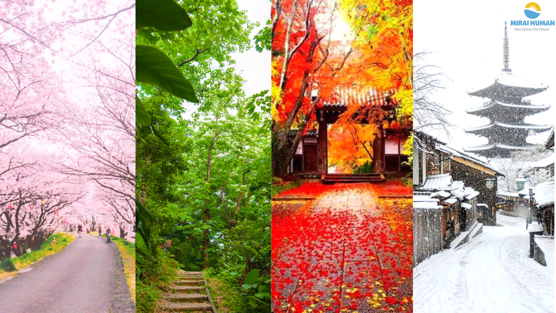 Thời tiết Nhật Bản - Cách chăm sóc sức khoẻ theo mùa